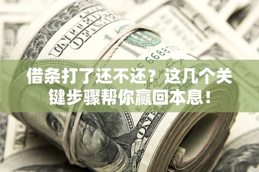 武汉借条打了还不还？这几个关键步骤帮你赢回本息！