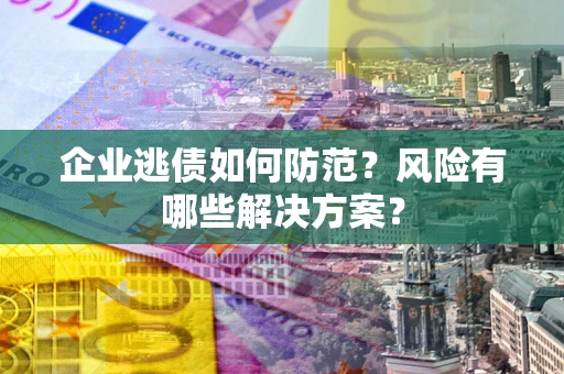 武汉企业逃债如何防范？风险有哪些解决方案？