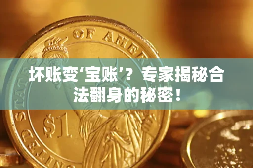 武汉坏账变‘宝账’？专家揭秘合法翻身的秘密！