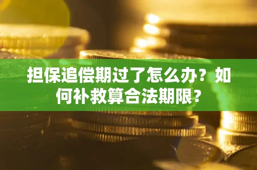 武汉担保追偿期过了怎么办？如何补救算合法期限？
