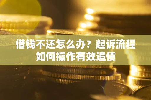 武汉借钱不还怎么办？起诉流程如何操作有效追债