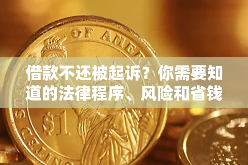 武汉借款不还被起诉？你需要知道的法律程序、风险和省钱技巧