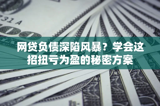 武汉网贷负债深陷风暴？学会这招扭亏为盈的秘密方案