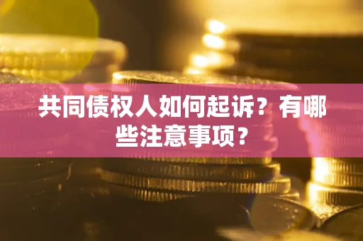 武汉共同债权人如何起诉？有哪些注意事项？